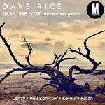 Nightshift [Kelevra Kidah Remix] by Dave Rice ft. Ashley Mazanec — cover art