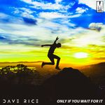 Only if You Wait for It by Dave Rice — cover art