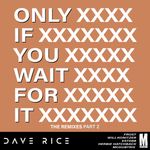 Only if You Wait for It (Will Konitzer Remix) by Dave Rice — cover art